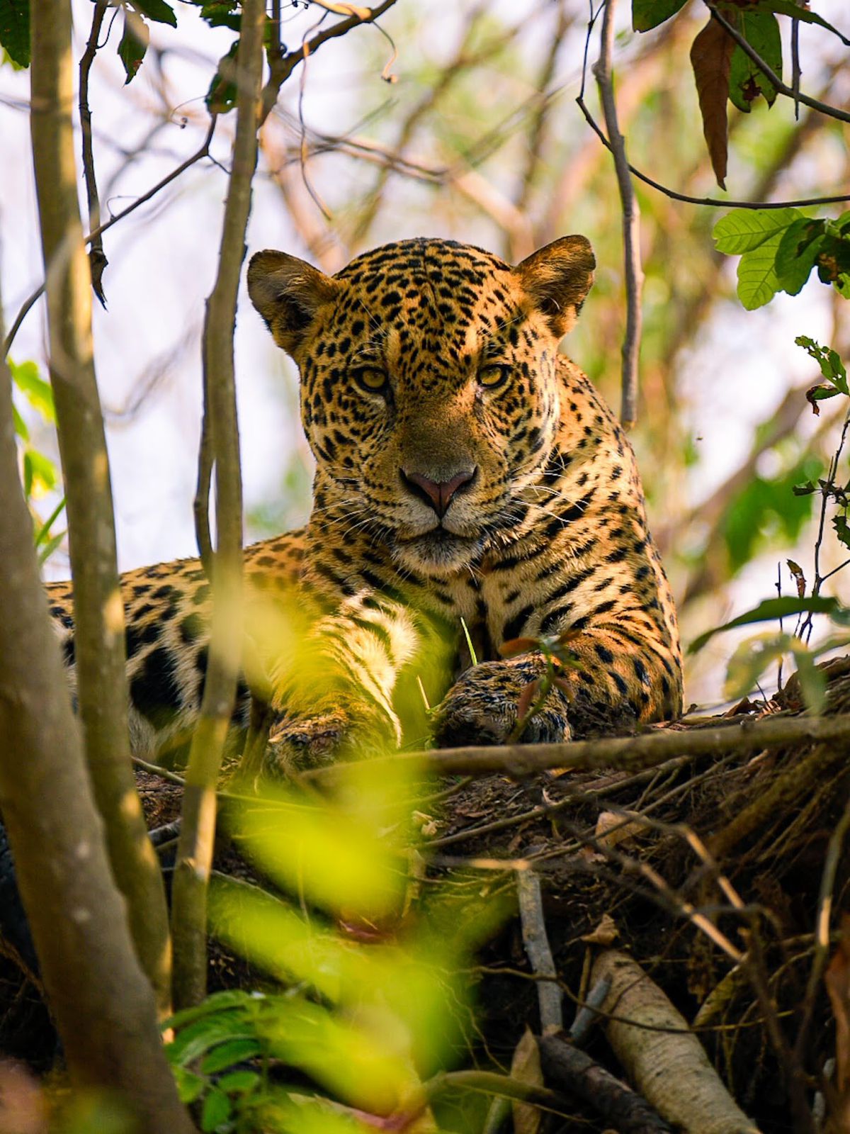 WhatsApp Image 2025-06-09 at 16.00.49