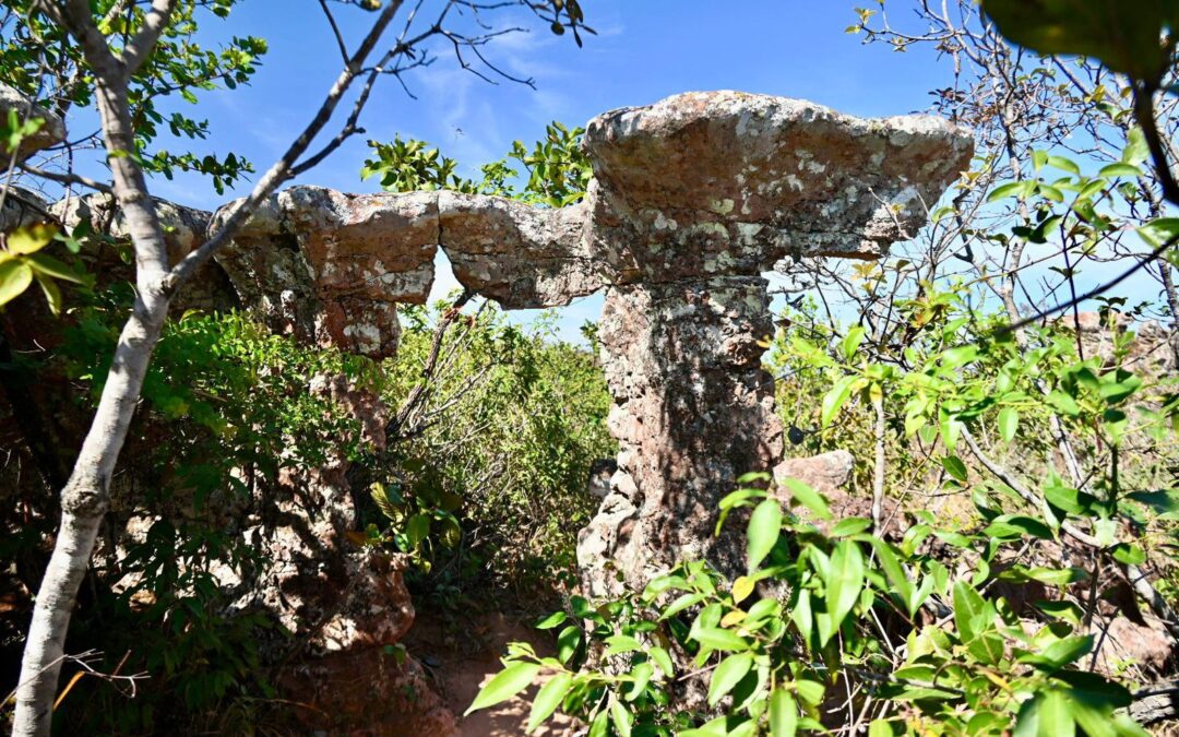 Um dia no coração do Parque Nacional: Cidade de Pedras, Vale do Rio Claro e Véu de Noiva